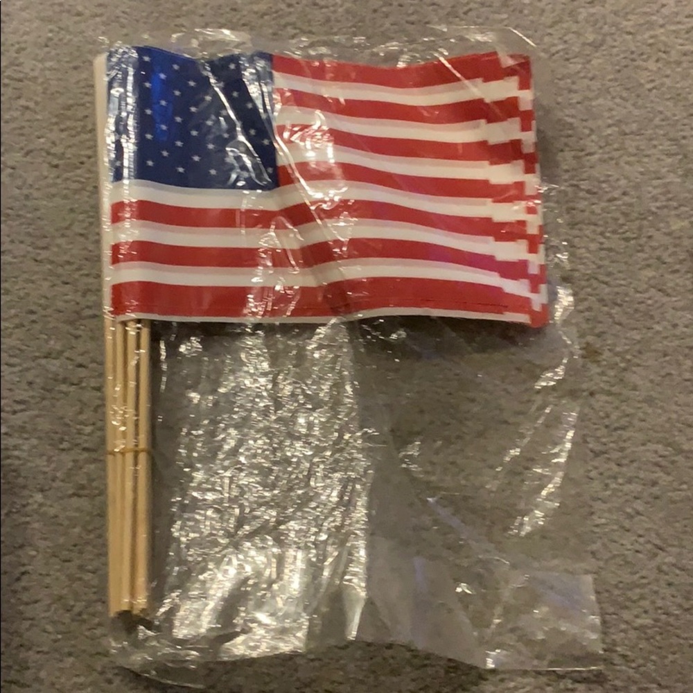 FREE 12 pack American flags
